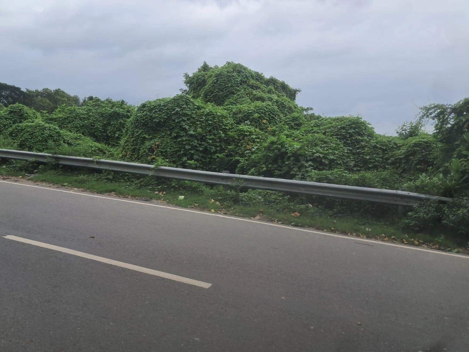 Tarun - Pura Rd, Ayodhya, Manjha Kala, Uttar Pradesh 271319, India preview 2
