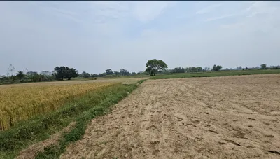 Nayanagar, Bihar 851133, India preview 3