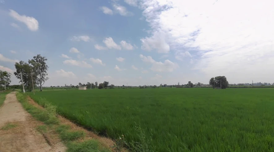 Jagraon, Punjab 142026, India