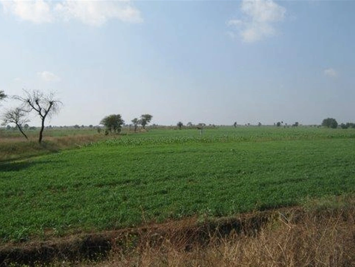 Barnagar, Madhya Pradesh 456771, India