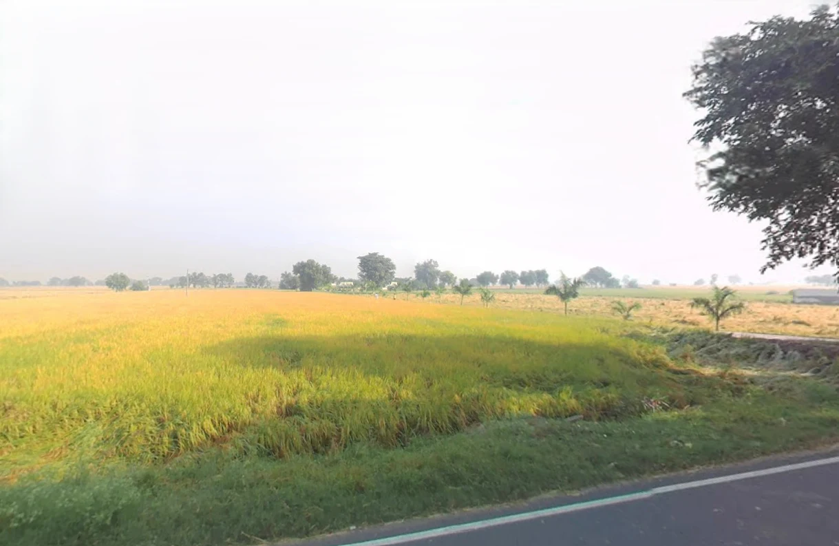 Ellenabad, Haryana 125102, India