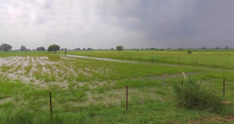 Lucknow, Uttar Pradesh, India preview 3