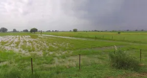 Lucknow, Uttar Pradesh, India preview 3