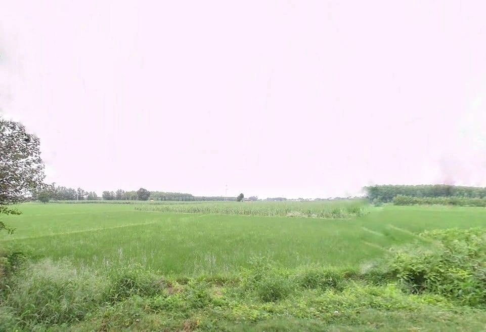 467W+Q79, Garhshankar - Balachaur Rd, Punjab 144526, India