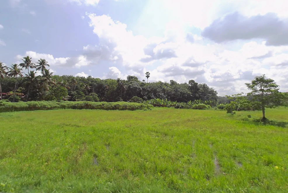 Varkala, Kerala, India