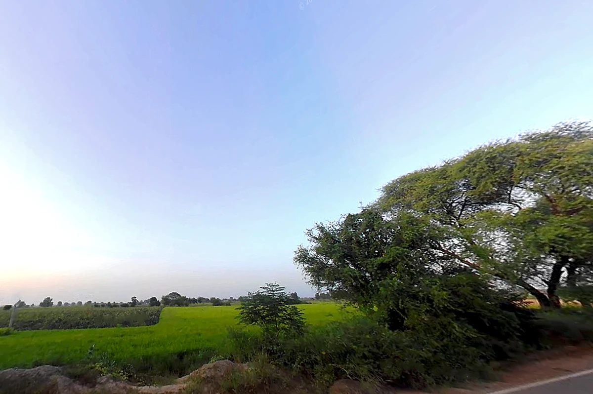 Agroha, Haryana 125047, India