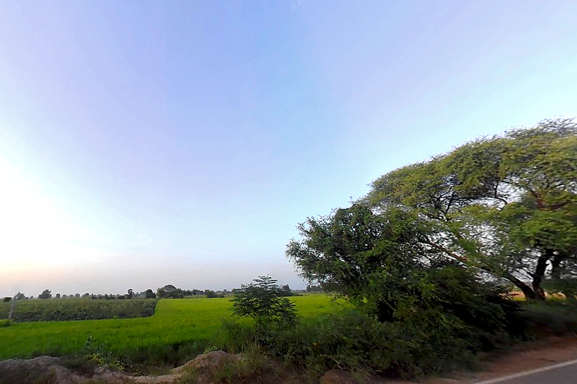 Agroha, Haryana 125047, India