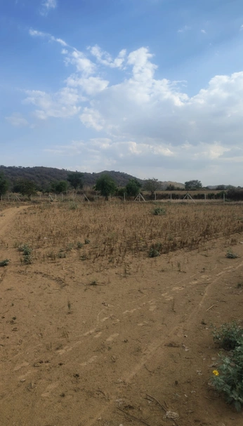 Med, Rajasthan 303003, India