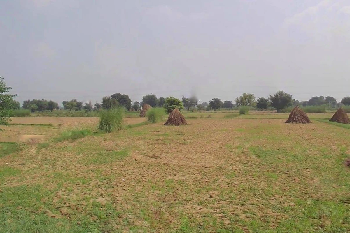 FR49+99M, Ghat, Rajasthan 301001, India