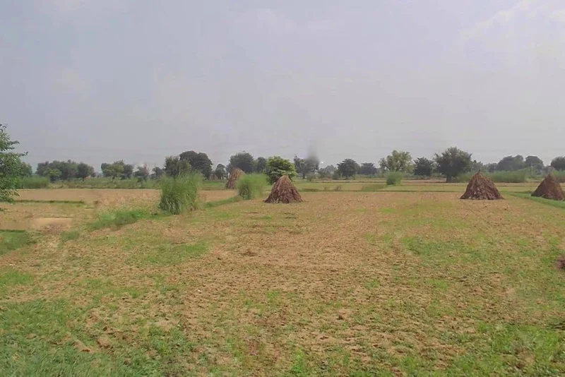 FR49+99M, Ghat, Rajasthan 301001, India preview 3