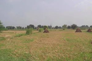 FR49+99M, Ghat, Rajasthan 301001, India preview 3