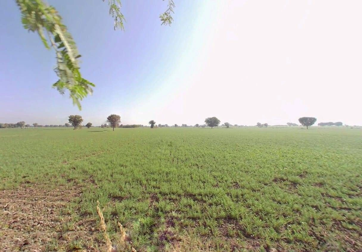 Dudu, Rajasthan 303008, India preview 3