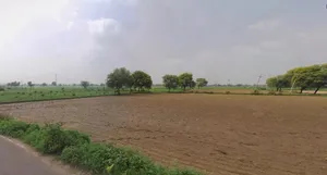 Panipat, Haryana, India preview 3