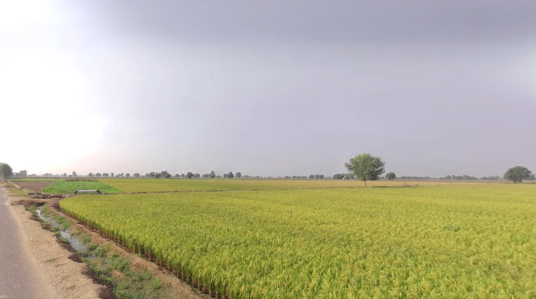 Bhagsar, Haryana, India