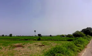 Bhustala, Pipli Majra, Haryana 136130, India preview 3
