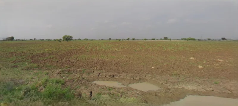Kasganj, Uttar Pradesh 207123, India preview 2