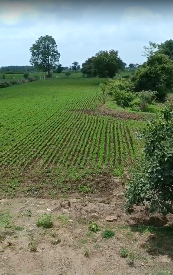 85GV+62 Titodi, Ujjain, Madhya Pradesh, India