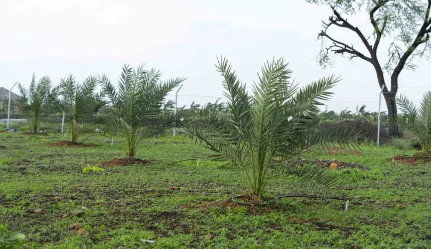 Wasar, Sangareddy, Telangana 502286, India