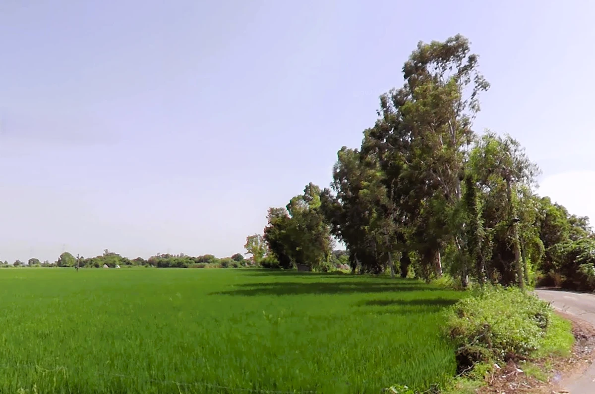 Keharwali, Haryana, India