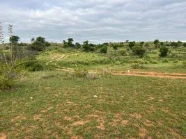 Penukonda, Andhra Pradesh 515110, India preview 2