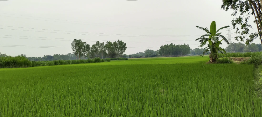 9QJ9+J9V, Berla, Rajasthan 321633, India