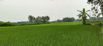 9QJ9+J9V, Berla, Rajasthan 321633, India preview 3