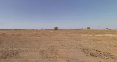 Toraniya, Gujarat 360360, India preview 3