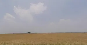 Bakarpur, Munger, Bihar 811202, India preview 2