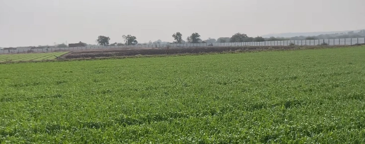 6GWM+WR Naneu, Phalodi, Rajasthan, India - Photo 2