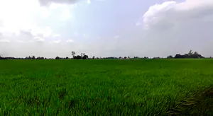 Bhadson Rd, Ranjit Nagar, Patiala, Punjab, India preview 2