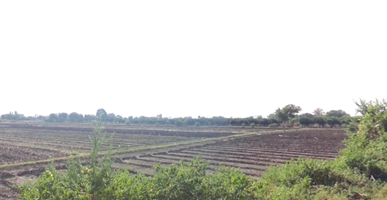 Kasrawad, Madhya Pradesh 451228, India