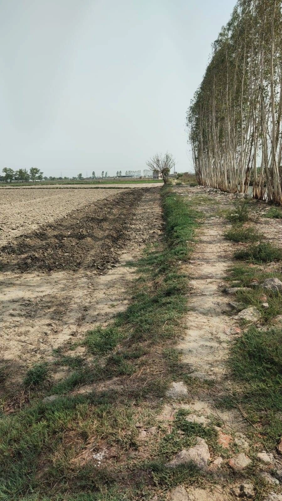 Bhindas, Bihar 805131, India preview 3