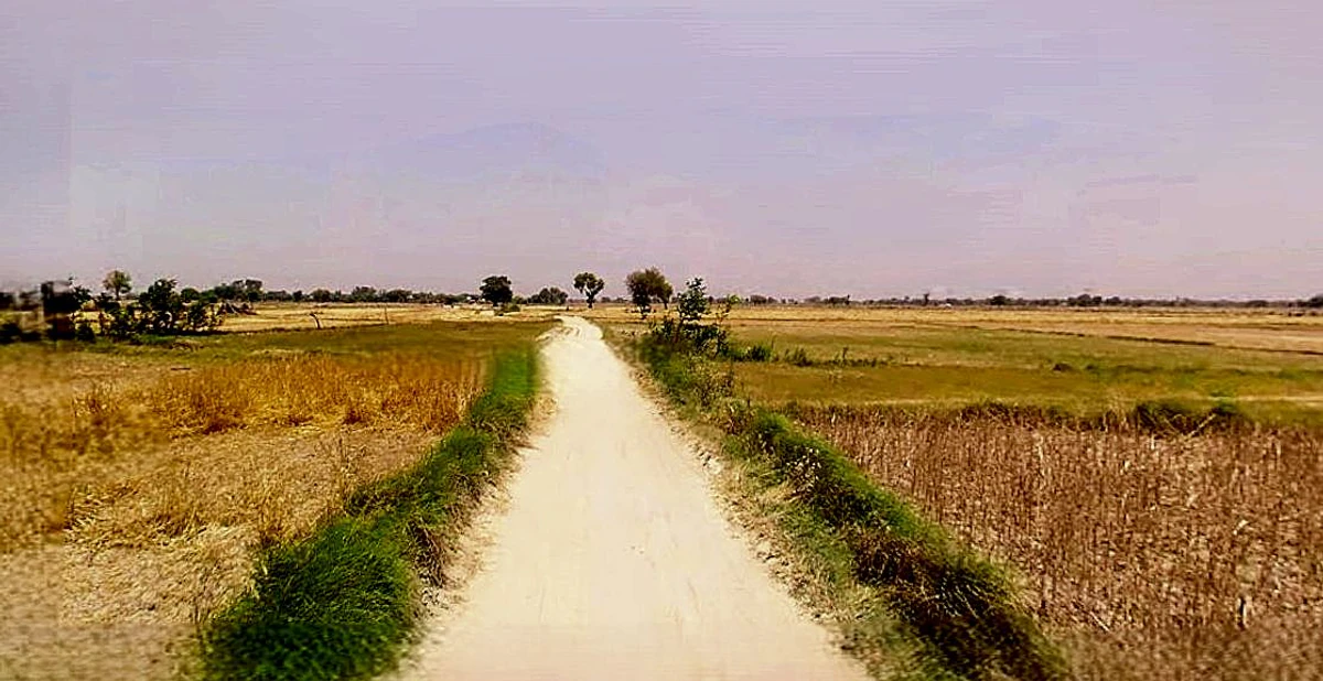 Dadri, Uttar Pradesh, India
