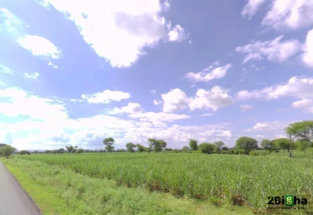 Janjgir-Champa, Chhattisgarh, India