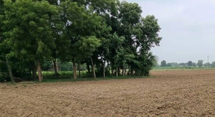 Barhana, Uttar Pradesh, India