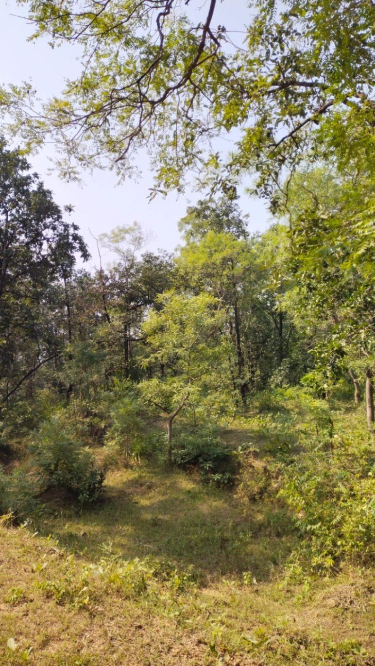 Kamti, Madhya Pradesh 487551, India