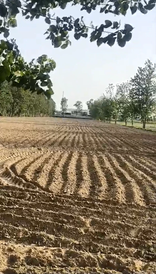 C5JF+99 Sachendi, Kanpur Nagar, Uttar Pradesh, India
