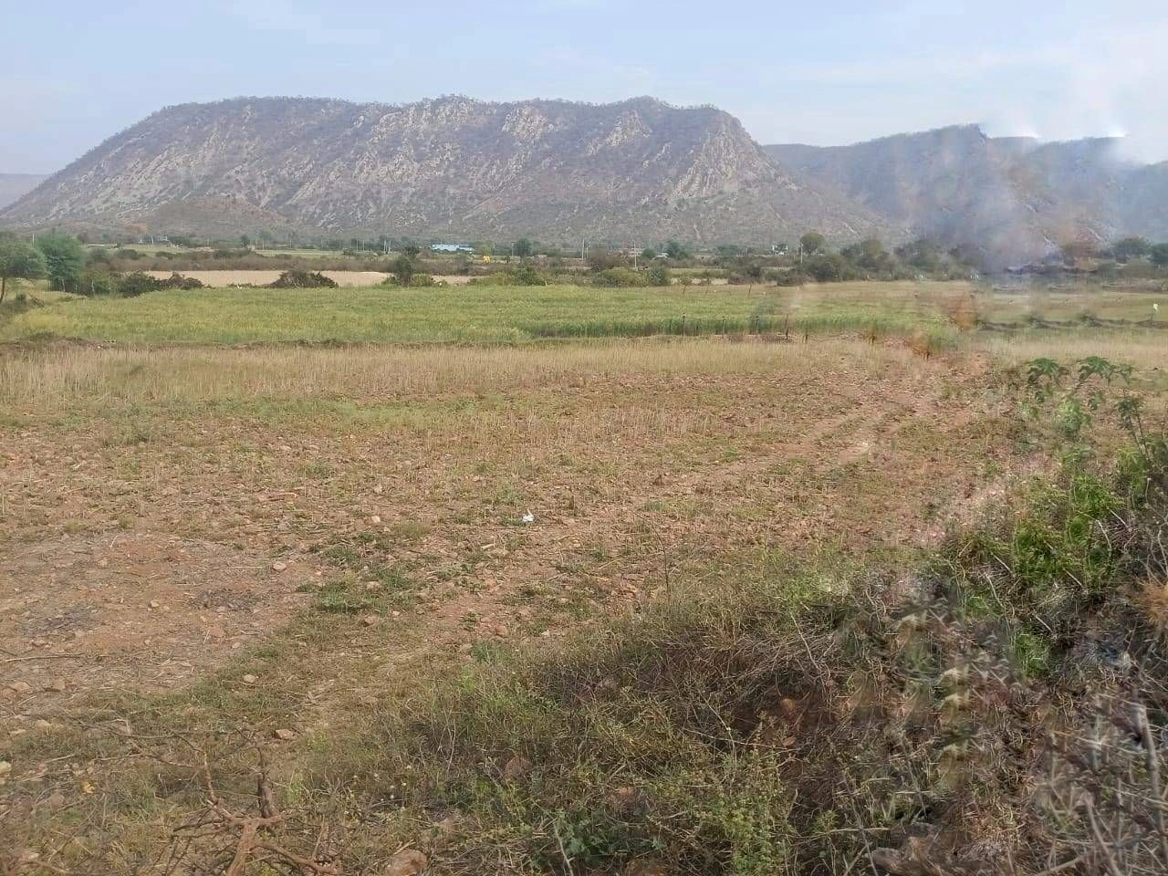 GFPR+GCQ, Dhahlavas, Rajasthan 301001, India
