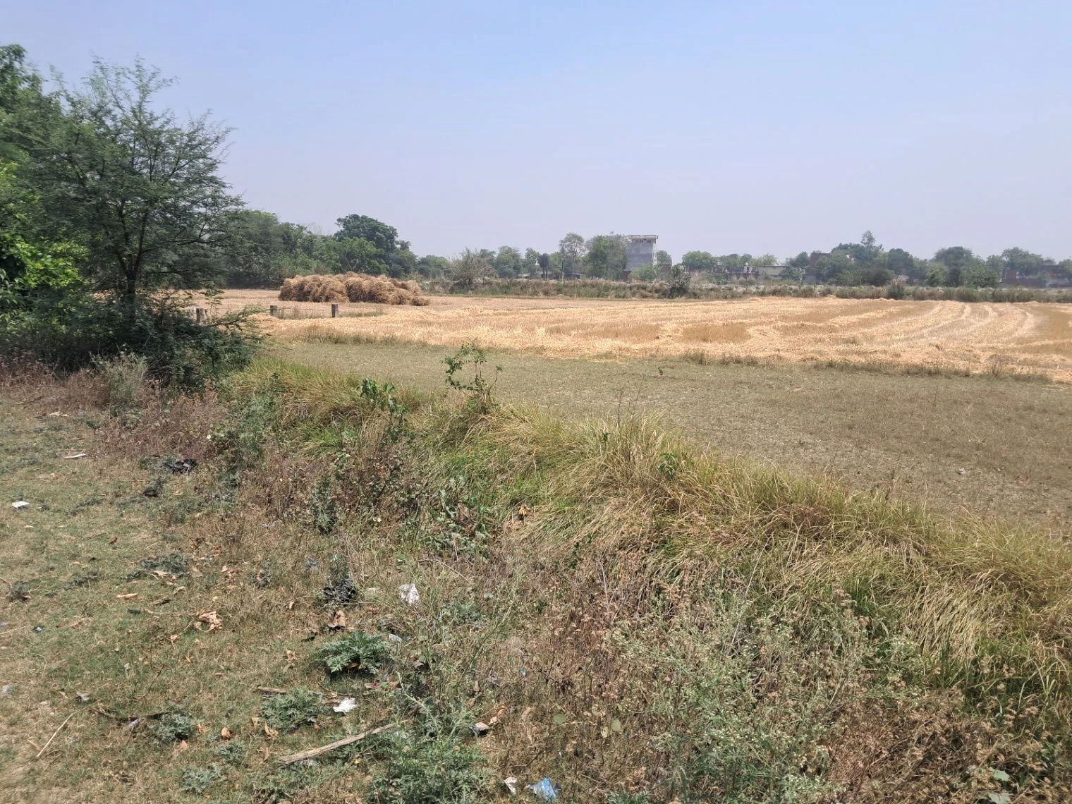 MLIG 78, Saketpuri colony, near Anant Homestay, Faizabad, Uttar Pradesh 224135, India