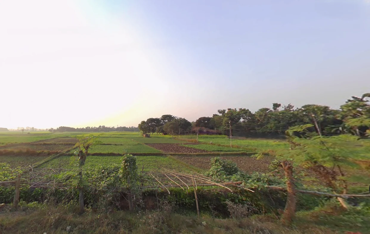 Birohi, Shitalatala, West Bengal 741245, India preview 2