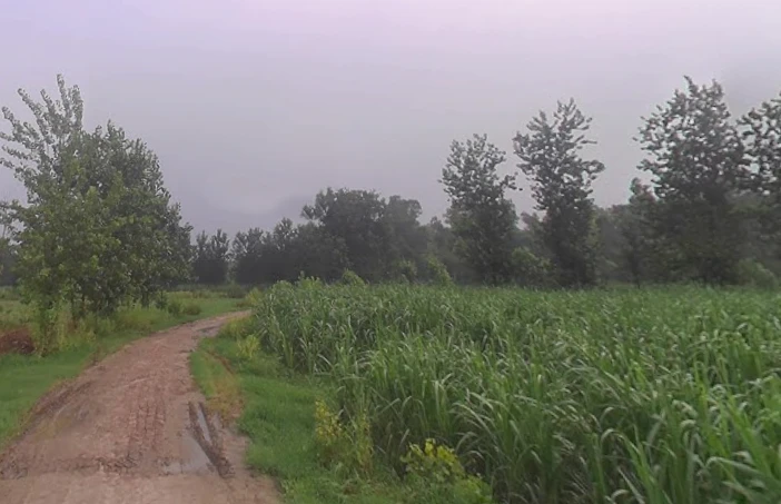Salempur Gada, Uttar Pradesh 247121, India