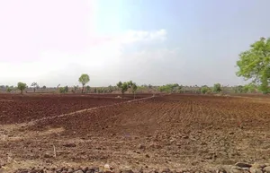 RWC8+W8 Valka, Madhya Pradesh, India preview 2