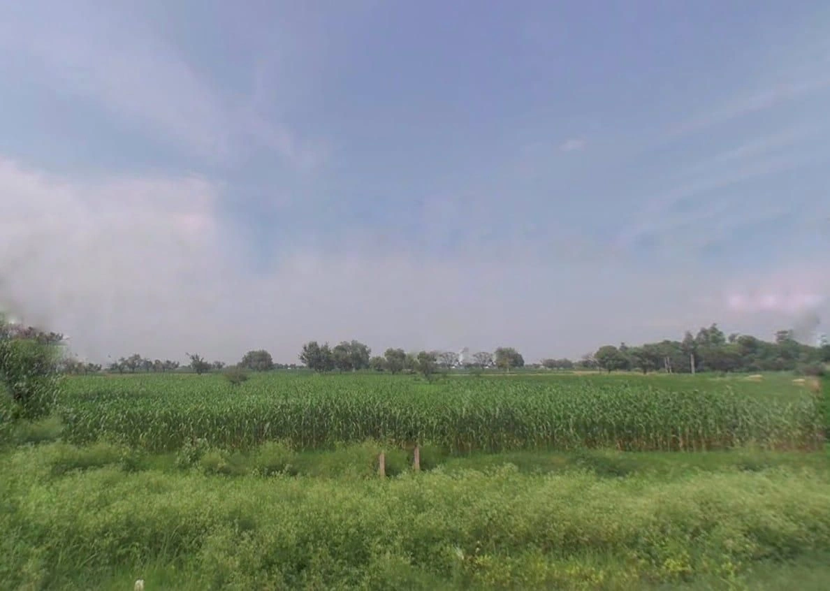 FX53+CW6, Jalooki, Rajasthan 321205, India preview 2