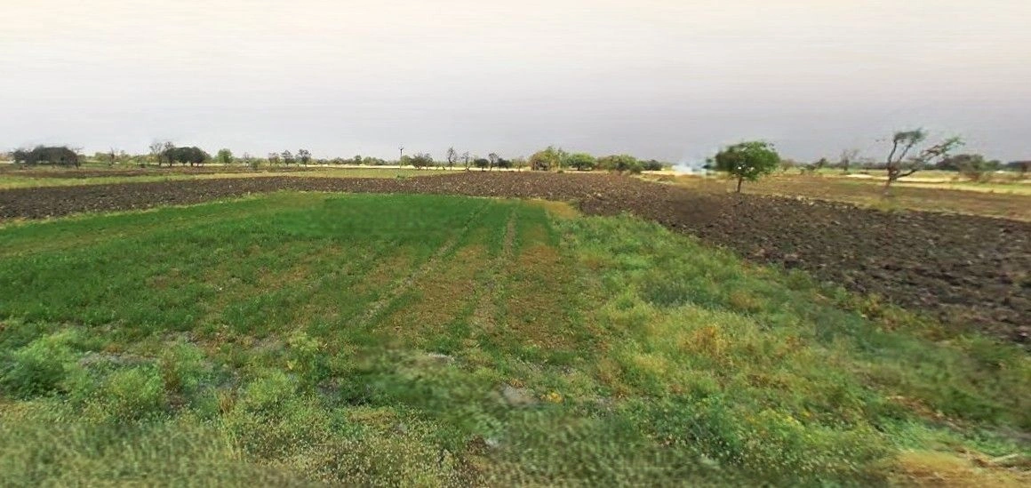 8RMM+6VX, Kalapipal Mandi, Madhya Pradesh 465337, India