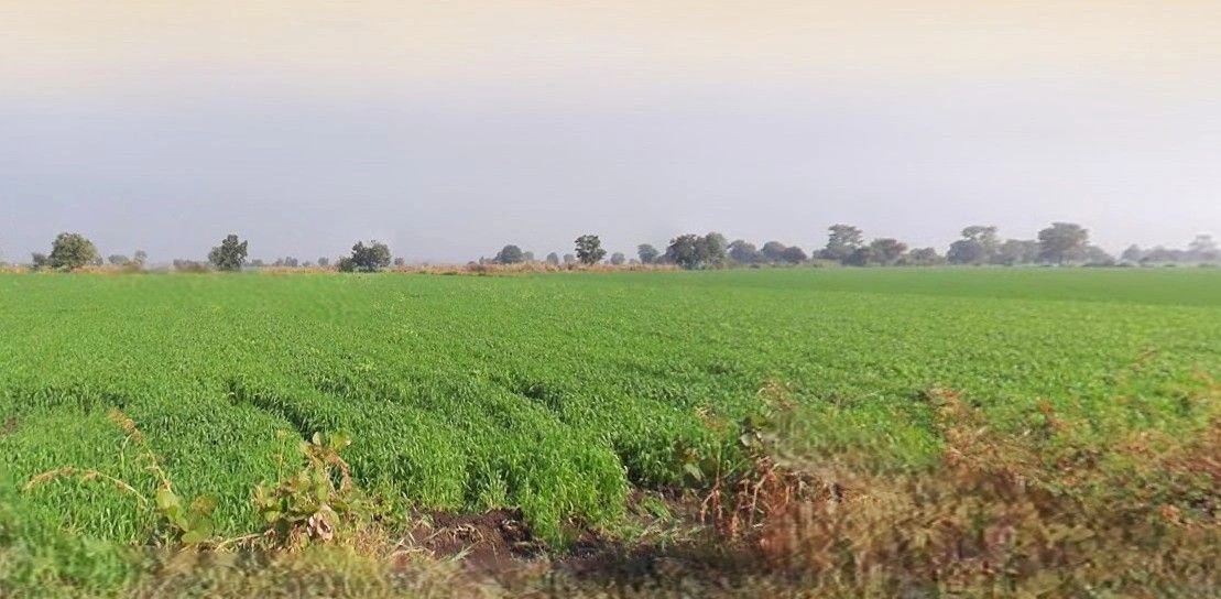 Bamrauli, Prayagraj, Uttar Pradesh, India