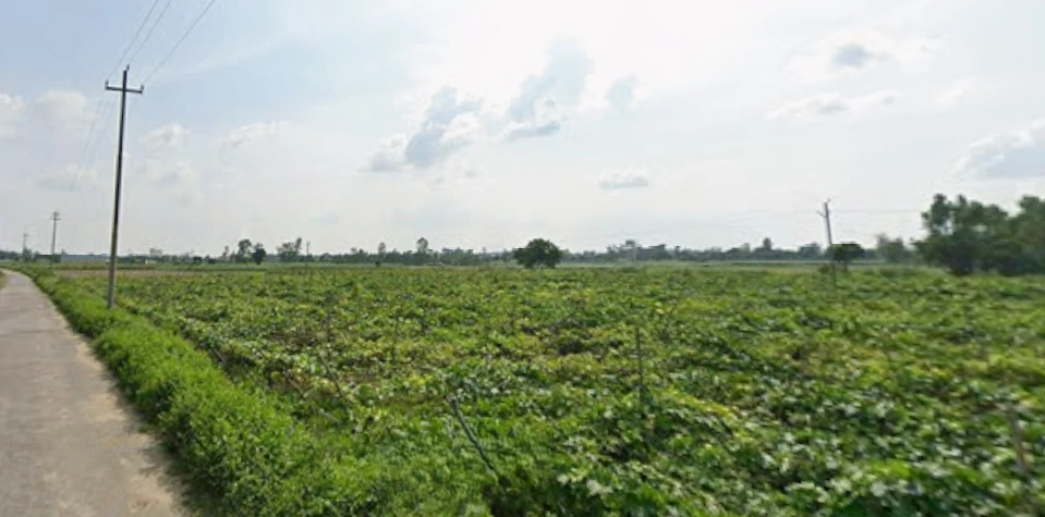 Faridpur, Uttar Pradesh 243503, India