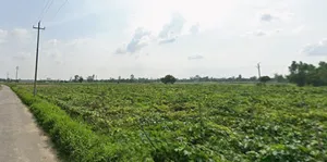 Faridpur, Uttar Pradesh 243503, India preview 2