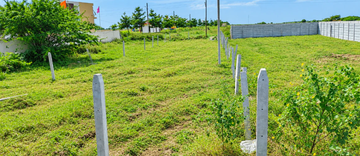 J6WP+F92, Sangareddy, Chintalcheru, Telangana 502296, India