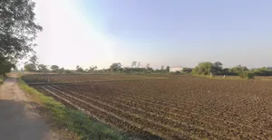 Danawada, Gujarat, India preview 3