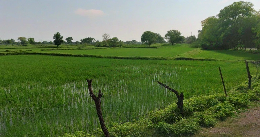 Ghutku, Chhattisgarh, India
